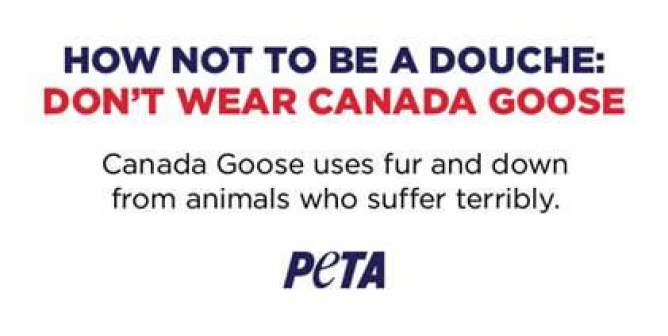 Canada Douche