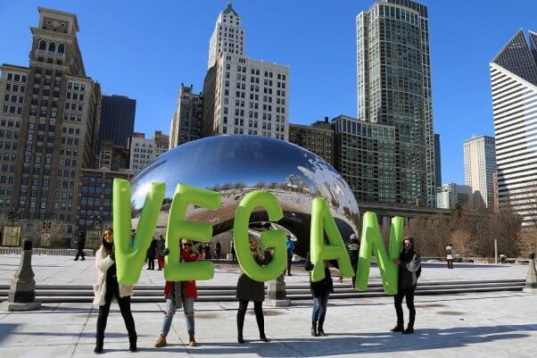 vegan letters demo, chicago bean