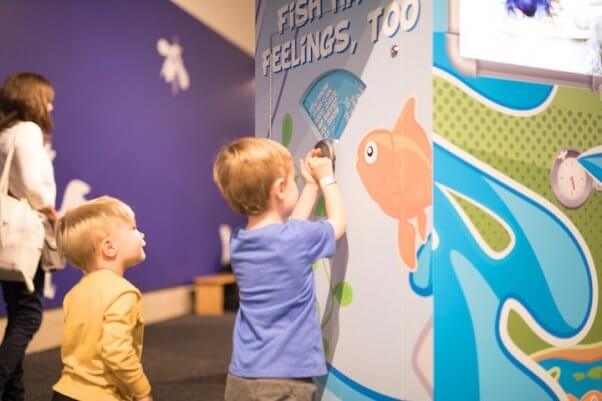 Children interacting with "Fish Have Feelings, Too" display in TeachKind