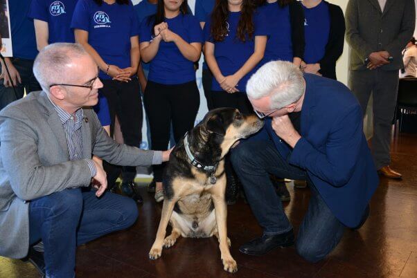 dr drew pinsky lets fix la ad unveiling spay neuter event