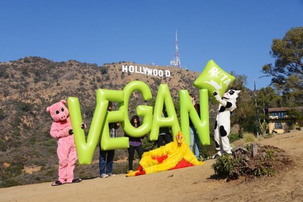 vegan letters demo, hollywood sign, la