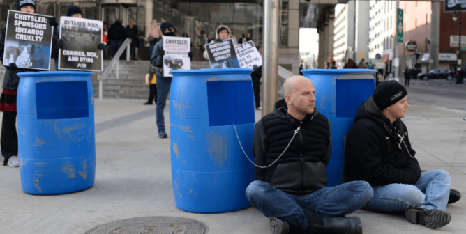 chrysler iditarod protest, chained dogs