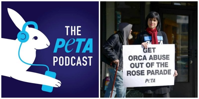 PETA Podcast logo with activist holding protest sign