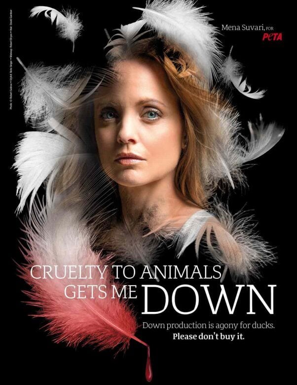 Full size PSA Mena Suvari down free