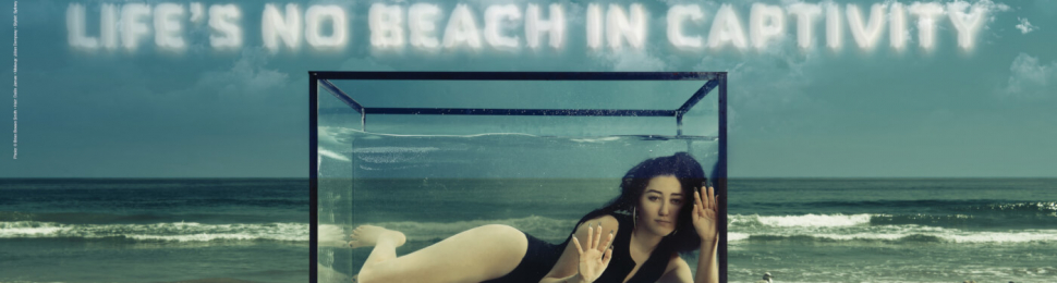 Noah Cyrus: Boycott SeaWorld