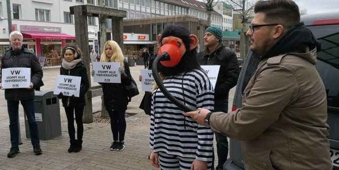 volkswagen inhalation experiment protest