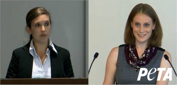 PETA Regulatory Testing Department scientists advise the government on a roadmap to reducing animal experiments