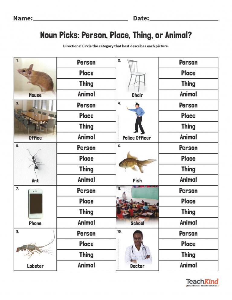 Nouns Person Place Animal Thing Worksheet