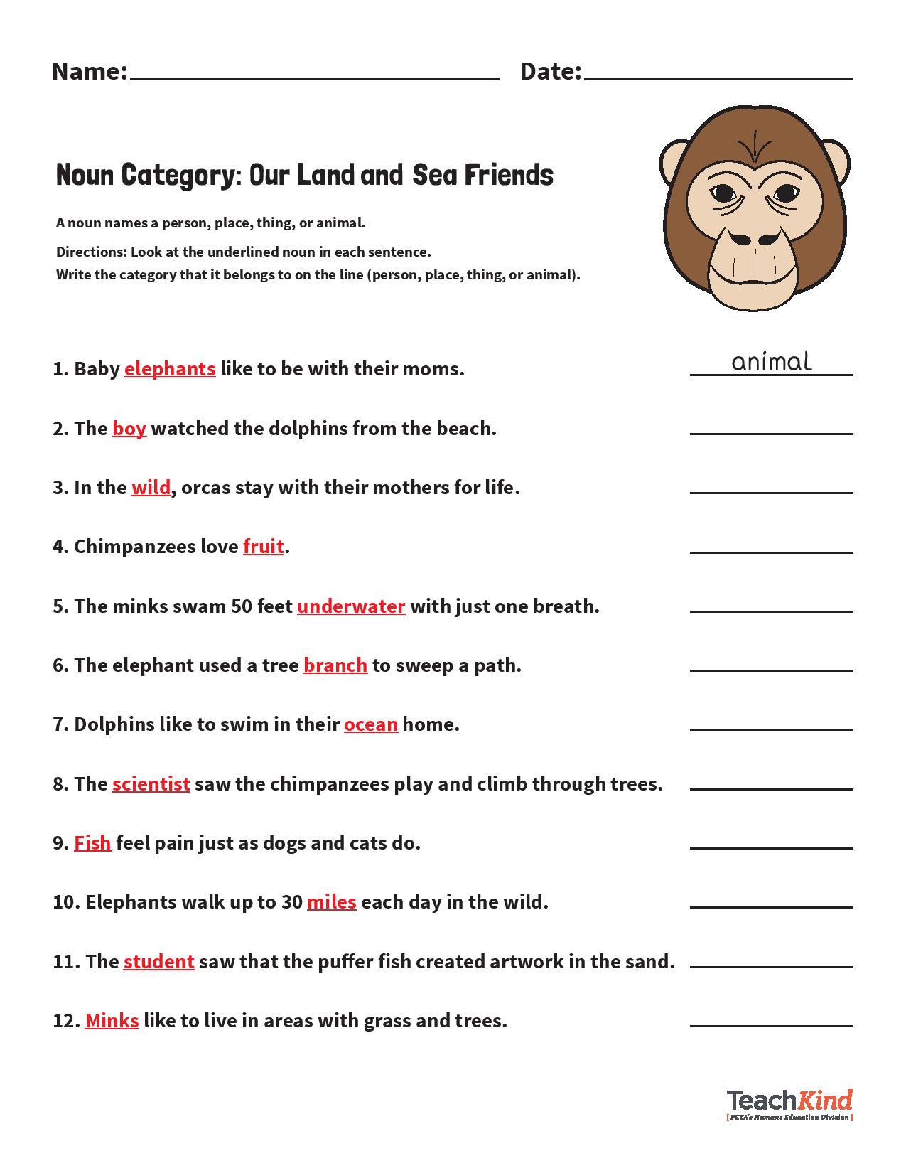 grammar-packet-compassionate-nouns-and-verbs-worksheets-peta