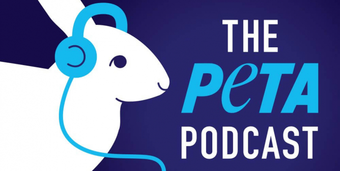 Calling All Podcast Lovers! Check Out These TeachKind Episodes on the PETA Podcast!