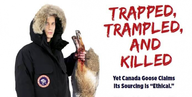 (VICTORY!) Trapped, Trampled, and Killed (Version 1)