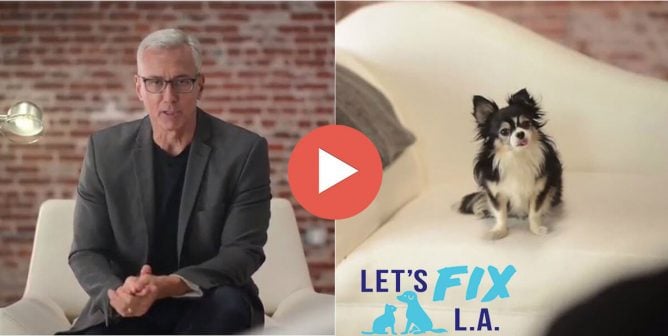Dr. Drew (and Mojito) star in PETA's new PSA for Let's Fix LA