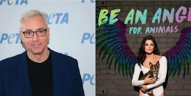 Celebs speak out for World Spay Day--have your dogs and cats spayed and neutered