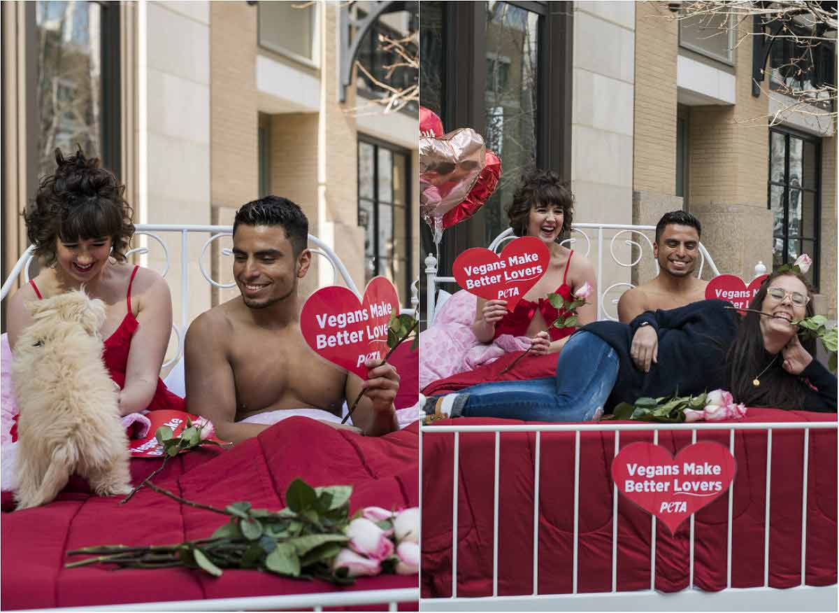 PETA's February Was Proof That Love (for Animals) Is a Battlefield PETA