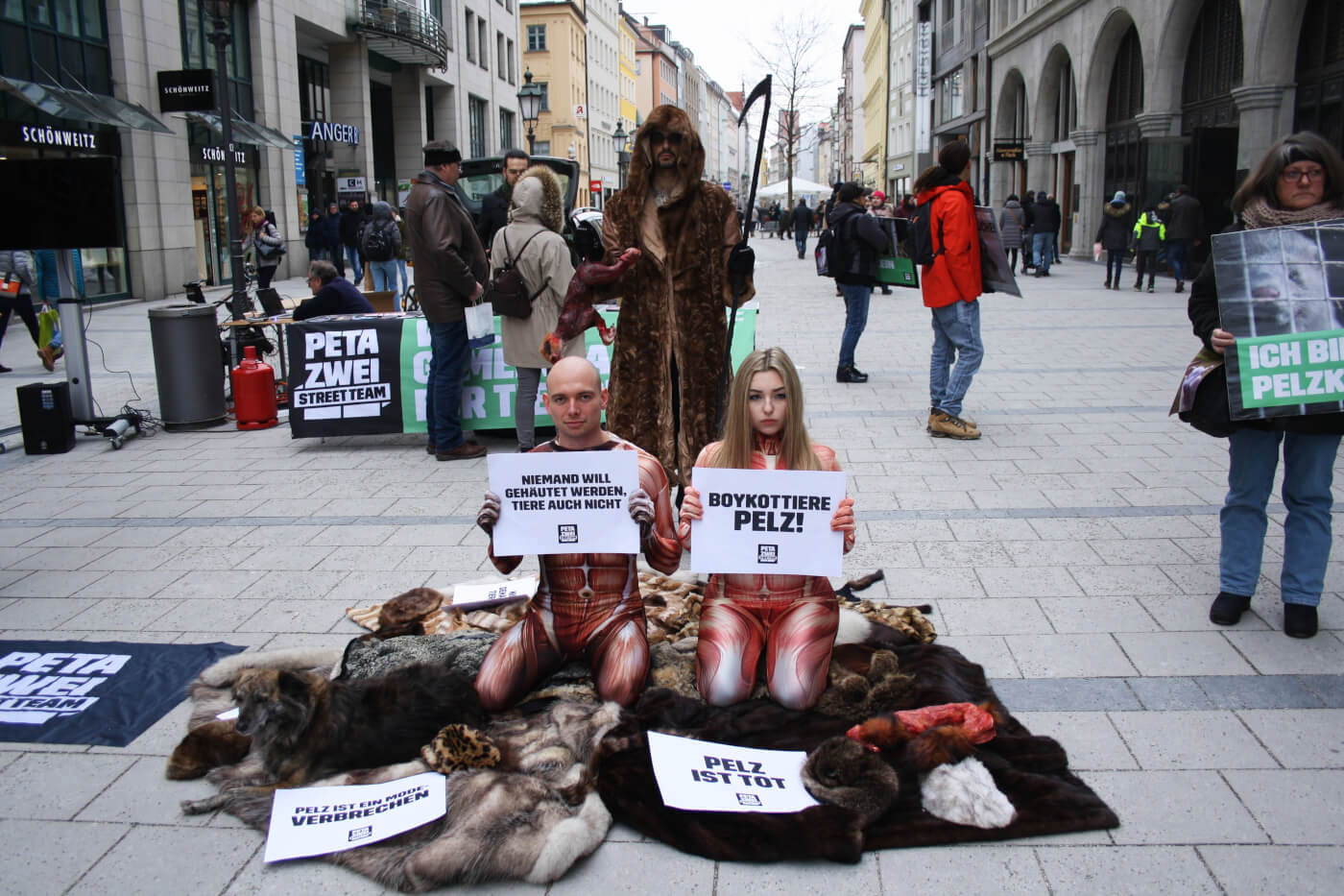 PETA Plans Pachyderm Picture Protest Outside Everett Circus | MYEVERETTNEWS.com