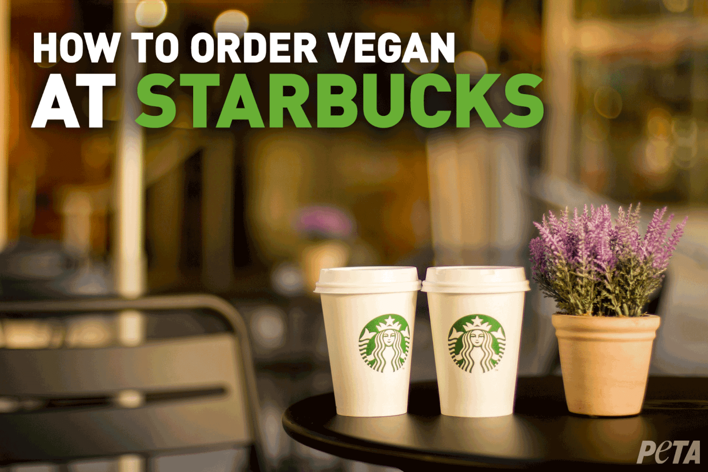 Your Guide to Vegan Starbucks Drinks (July 2020) | PETA