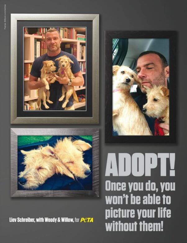 https://www.peta.org/wp-content/uploads/2018/03/Liev_Schreiber_Adopt_300-602x779.jpg