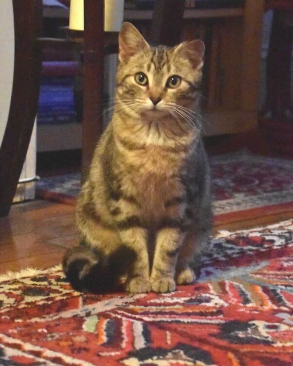 Magdalena sitting on rug