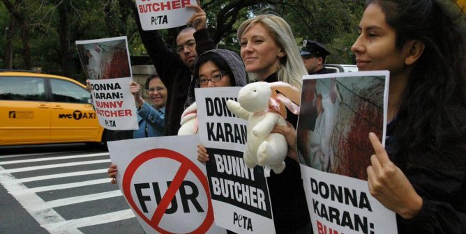 Breaking News: After Decades of PETA Pressure, Donna Karan Is Going Fur-Free