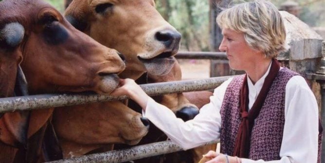Activities: Women in Leadership and Animal Rights