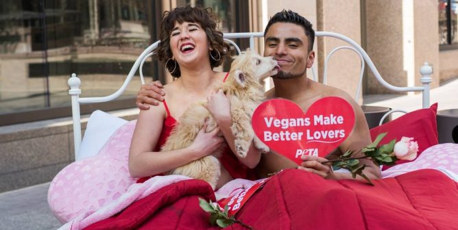 february peta protests social crop featured