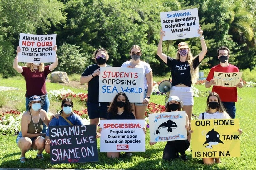 Start an Animal Rights Club at School | PETA Start an Animal Rights Club at School | PETA