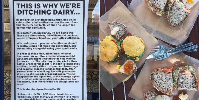 Recipe for Success: These Businesses Went Vegan and Flourished