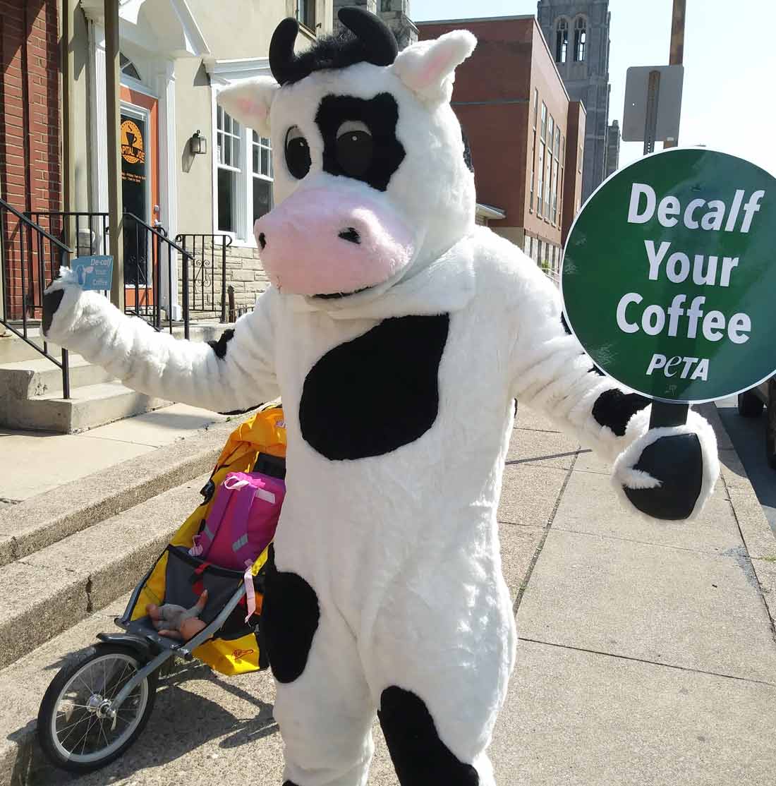 peta mascot cow at a decalf your coffee demo (2018)