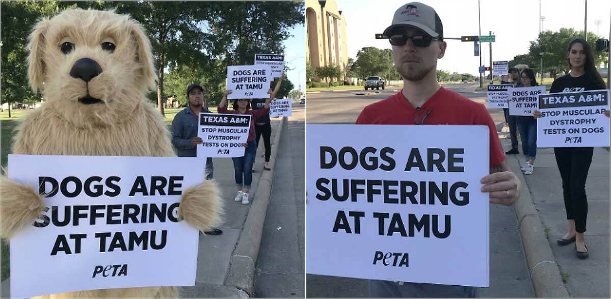 PETA protesting at Texas A&M's graduation ceremony 2018