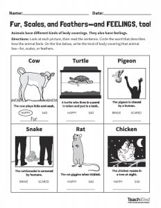 Helping a Local School Integrate Compassion for Animals (Worksheets  Included) | PETA