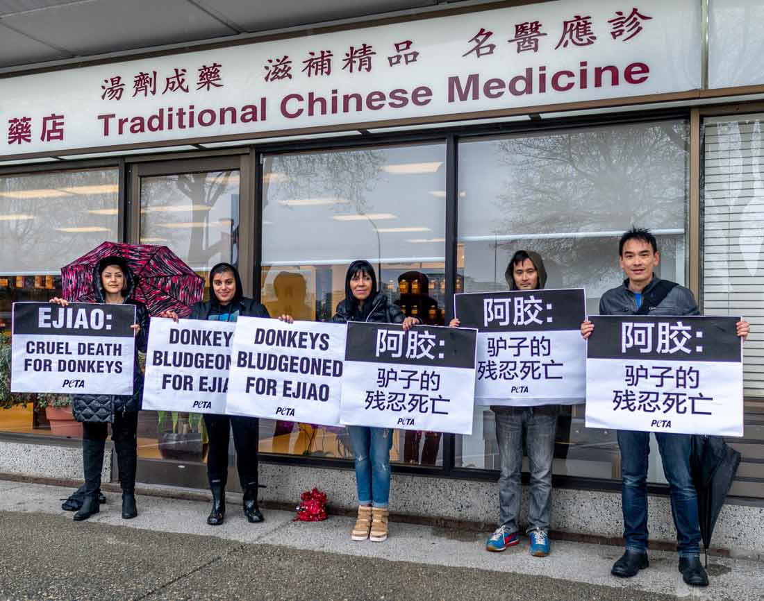 PETA ejiao protest outside a market in Vancouver