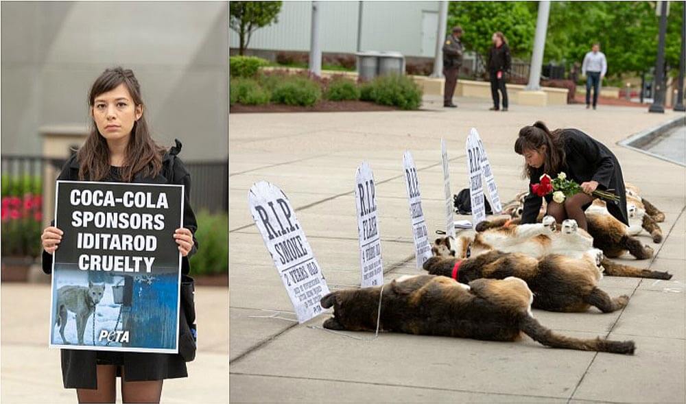 PETA protests Coca Cola's sponsorship of the Iditarod