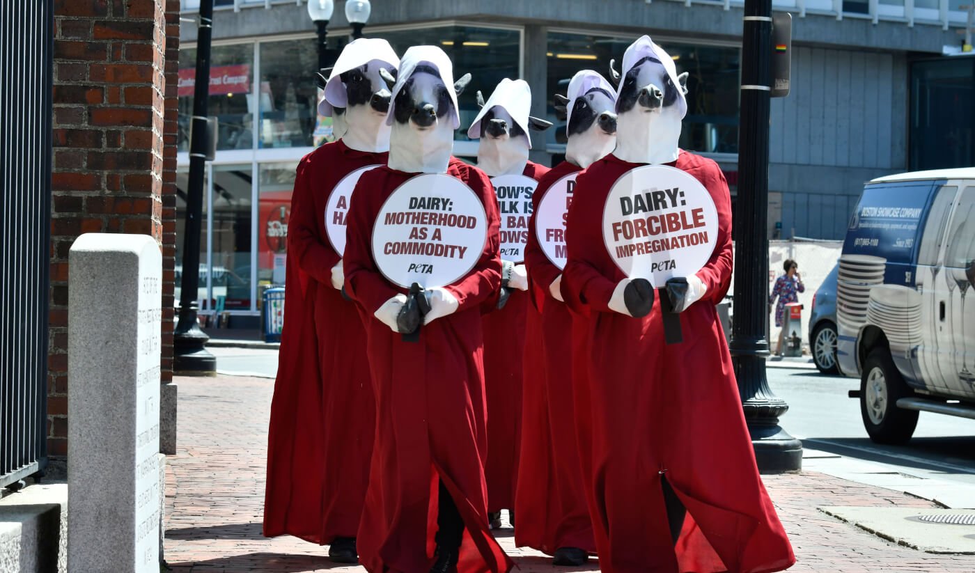 PETA Exposes Parallels Between 'The Handmaid's Tale' and Dairy Industry