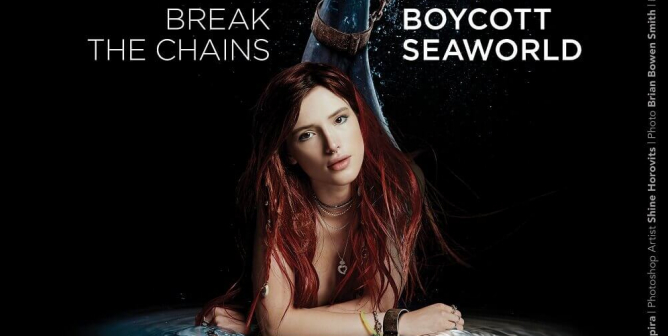 Bella Thorne: Boycott SeaWorld