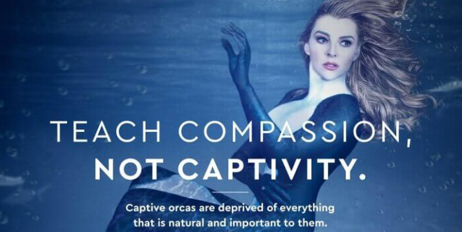 Marjorie de Sousa: Teach Compassion, Not Captivity