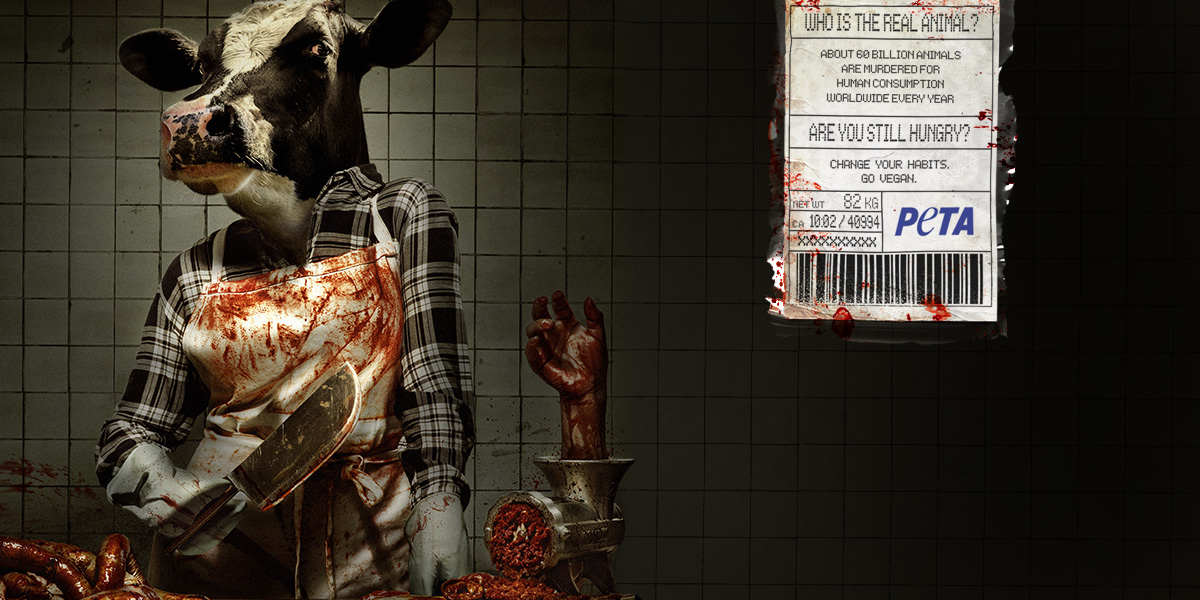 Watch Animals Turn the Tables in PETA's Horror Film, 'Payback' Watch Animals Turn the Tables in PETA's Horror Film, 'Payback'
