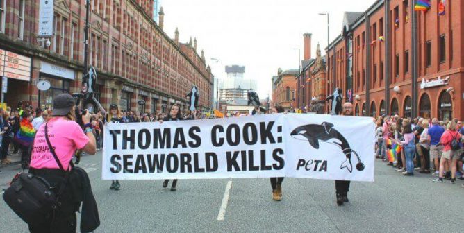 peta banner at manchester pride parade