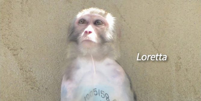 Watch the video to find out: Who Is Loretta?