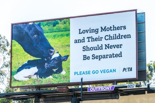 "Loving Mothers and Their Children Should Never Be Separated" billboard