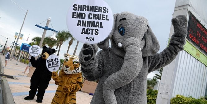 people in bear, tiger, and elephant costumes protest shrine circus