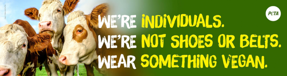 We’re Individuals. We’re Not Shoes or Belts. Wear Something Vegan.