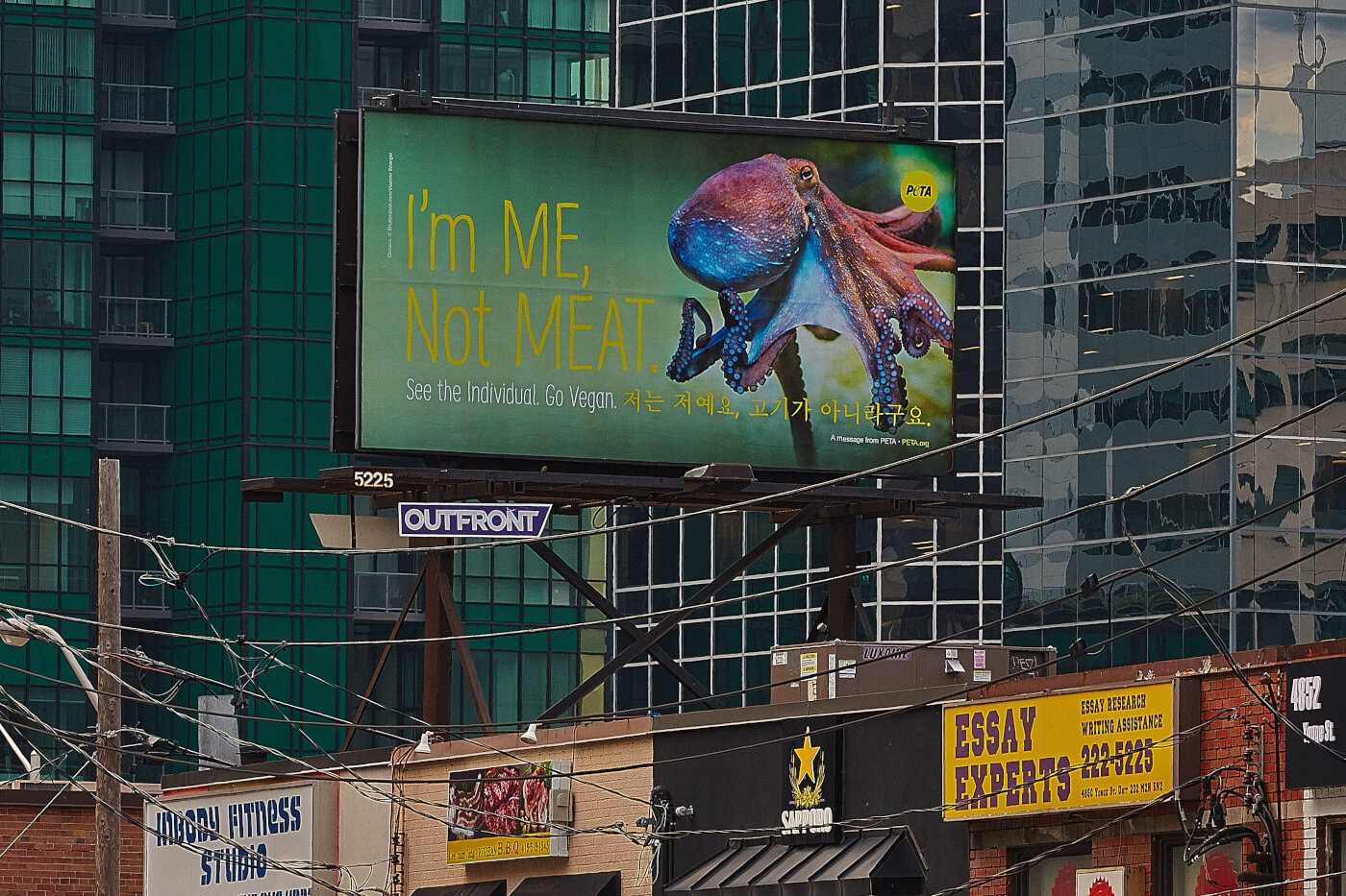 "im me. not meat" Octopus Billboard on display above a building in Toronto, ON