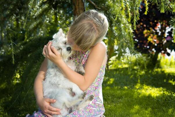 Little girl kissing small white dog