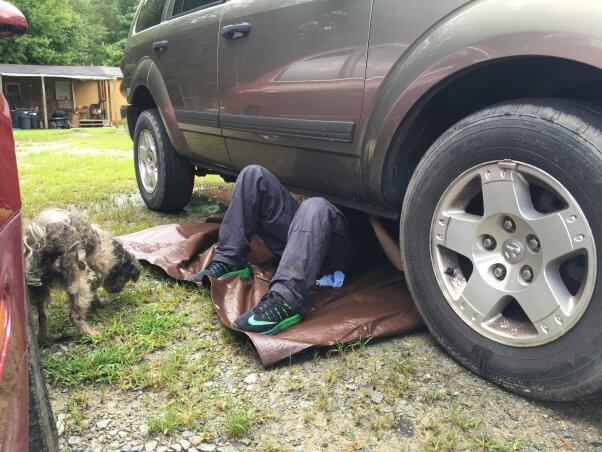 PETA fieldworker under car retrieving kitten