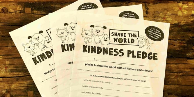 Download a Class Set of Kindness Pledges