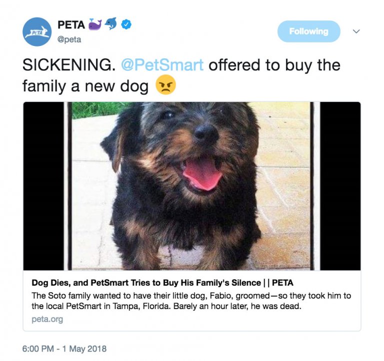 Another Dog Reportedly Injured During PetSmart Grooming PETA