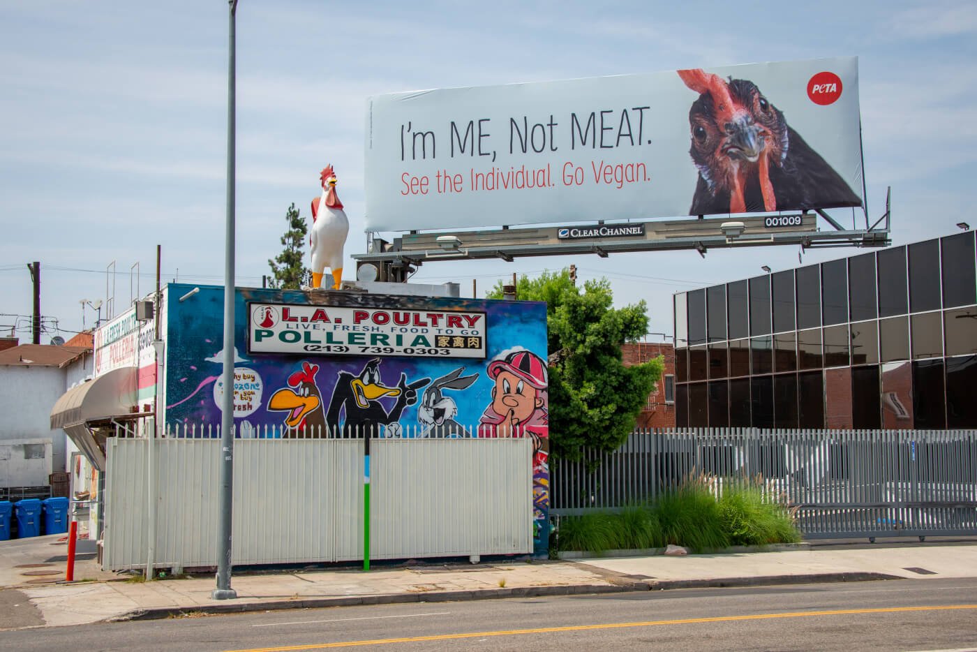 MUST-SEE: PETA Billboard Erected Near LA Fresh Poultry | PETA