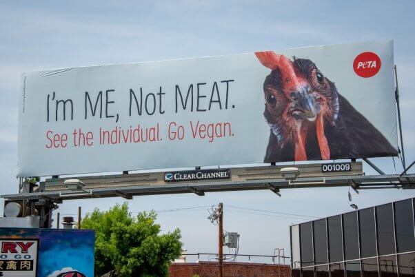 Debate Kit: Is It Ethical to Eat Animals? | PETA Debate Kit: Is It Ethical to Eat Animals? | PETA