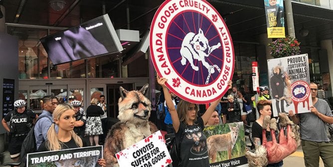 Don’t Be Fooled by Canada Goose’s New Fur Policy
