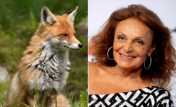 diane von furstenberg and other companies banned fur